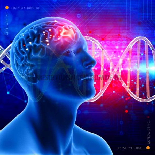 Neurociencias aplicadas al Aprendizaje Experiencial para potenciar el desarrollo humano